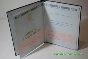 Купить диплом в Севастополе ВГУЭС — Владивостокского государственного университета экономики и сервиса